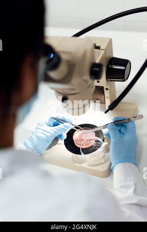 Mature female scientist using tweezers while analyzing medical samples through microscope in lab Stock Photo