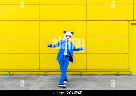 Man wearing vibrant blue suit and panda mask walking toward camera with carefree attitude Stock Photo