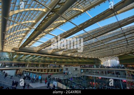 FRANCE, PARIS (75001), CANOPEE DES HALLES (ARCHITECTES : JACQUES ANZIUTTI ET PATRICK BERGER) Stock Photo