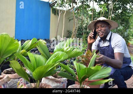 an african farmer making a phone call Stock Photo