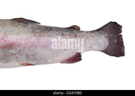 Fresh fish carcass and tail isolated on white background Stock Photo