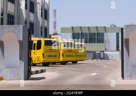 Empty Yellow School Buses in a Parking. School vacation time. Stock Photo