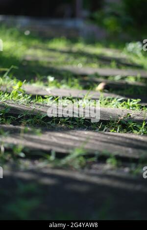 Footpath over garden made out of concrete tiles Stock Photo