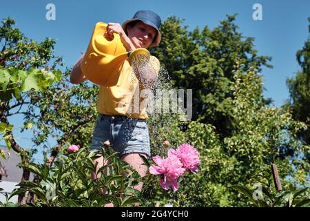 Woman watering flowers in garden with watering can. Home gardening. Plant care. Stock Photo