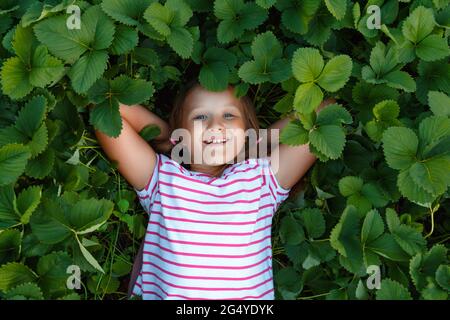 The child lies on the field in the leaves of the strawberry. Cheerful little girl smiling. Top view closeup Stock Photo