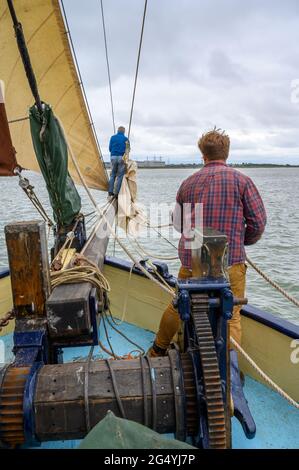 Mate and volunteer Pat Fox lowering and stowing away the staysail on "Edith May" historic sailing barge on a trip in Thames estuary, Kent, England. Stock Photo