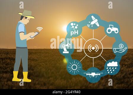 Illustration of a farmer using an app with a wheat field in background - smart livestock farming Stock Photo