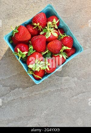 A quart box of fresh-picked strawberries on a grey slate background.  Vertical.  Closeup. Copy space. Stock Photo