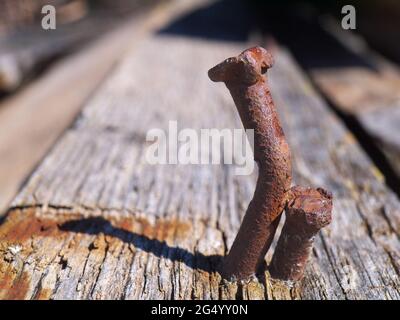 Two rusty curved nails macro Stock Photo