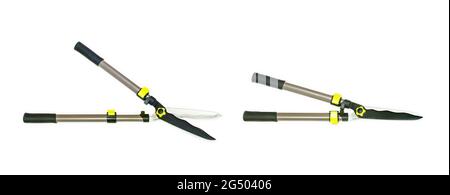 the lopping shears or planting hatchet, branch remover Stock Photo