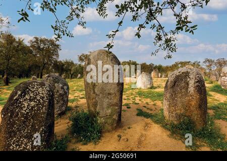 near Evora, Evora District, Alentejo, Portugal.  Cromeleque dos Almendres, or Cromlech of the Almendres neolithic standing stones.  Archeologists esti Stock Photo