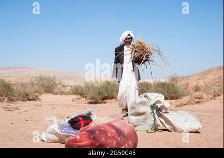 EGYPT, SINAI: Together with Bedouin Soliman Al Ashrab from the Mzaina tribe, 2 camels and 2 dogs did I walk for four days through the desert close to Stock Photo