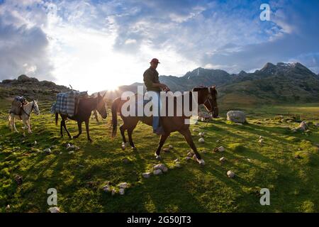FRANCE, HAUTE-CORSE (2B) GR 20 NORD, VACCAGHJA SHEEPFOLD, CARRIERS Stock Photo