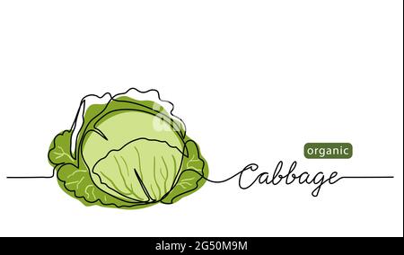 Cabbage salad Free Stock Vectors