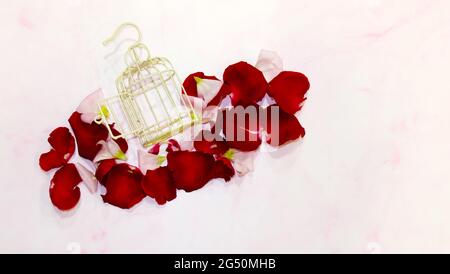 Flay lay of a small empty bird cage, with the door opened, surrounded by red and pink rose petals. With light pink background. Stock Photo