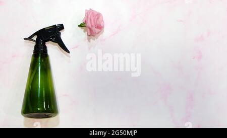 Flat lay of a green spray bottle, with a pink blooming flower coming out of its nozzle. With pink marble background. Stock Photo