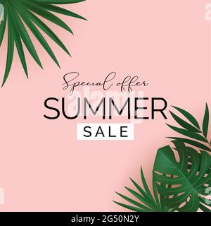 Summer Sale Natural Background with Tropical Palm and Monstera Leaves. Vector Illustration EPS10 Stock Vector
