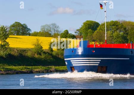 Bulk carrier ship on the Kiel Canal between Baltic sea and North Sea, Schleswig-Holstein, Germany Stock Photo