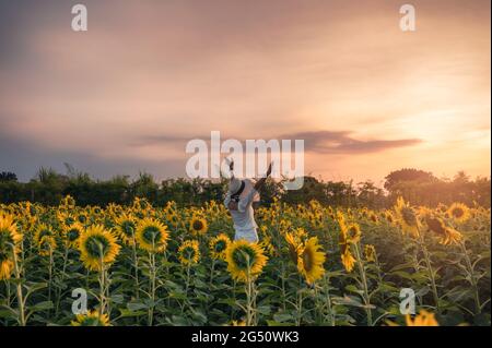Young asian woman cheerful raising hands in sunflower field at sunset Stock Photo