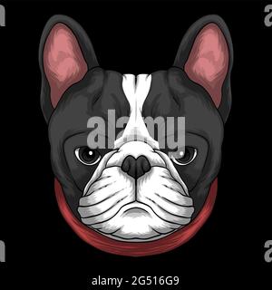 French bulldog head a wearing red collar vector illustration Stock Vector