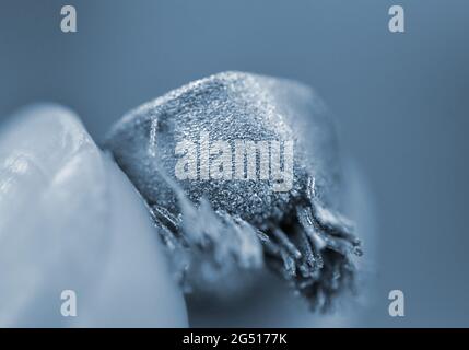 Small object printed on metal 3d printer macro. Stock Photo