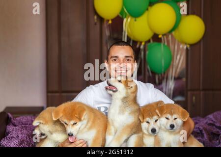 Handsome guy have fun hugs and play with akita inu puppies. Stock Photo