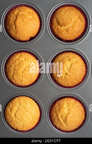 Freshly baked cupcakes in  baking tray Stock Photo