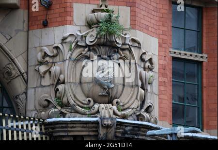 Liver Bird on the art nouveau Liverpool Grand Central Hotel building at Renshaw Street Stock Photo