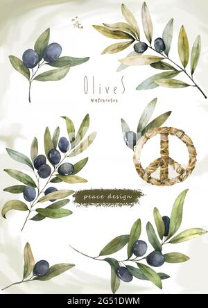 Olive branch. Set of hand drawn watercolor illustrations of green ...