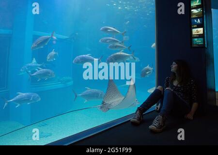 A woman watching sea life at Osaka Aquarium, Japan Stock Photo