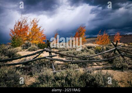 Landscape with desert under dramatic sky, Twin Lakes, Colorado, USA Stock Photo