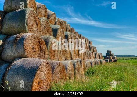 The straw bales are stacked in a large pile. Stock Photo