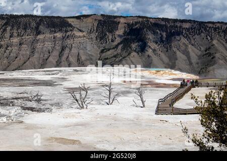 Mammoth Hot Springs at Yellowstone National Park, Wyoming, USA, May 24, 2021: horizontal Stock Photo