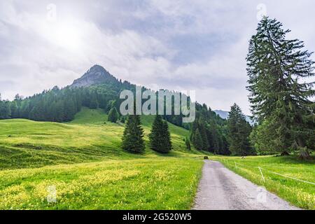 Beautiful circular hiking trail near Schönenbach in Vorarlberg, Austria Stock Photo