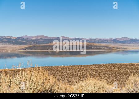 Mono lake, California in Autumn on sunny day with clear blue sky and tufa  Stock Photo