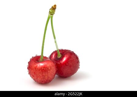 Two cherries covered with dew drops isolated on white background Stock Photo