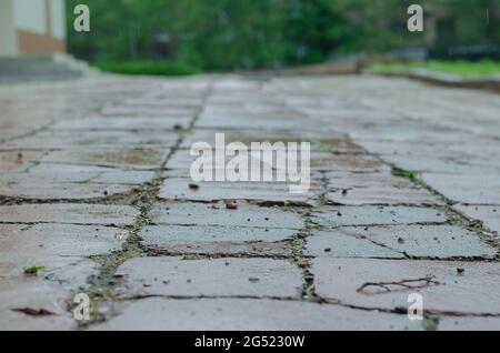 An old sidewalk in the rain. Wet sidewalk tiles with deep cracks and small stones. Daytime. Rain drops.  Selective focus. Stock Photo