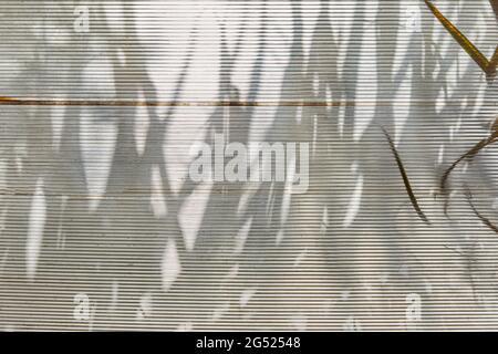 Textured translucent roof with shadow from the tree background Stock Photo