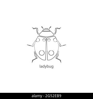 Ladybug thin flat design on the white Stock Vector