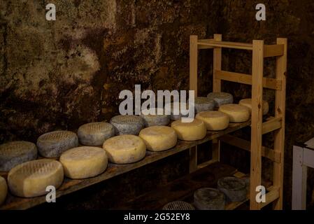 Cheese maturing room at La Llavina mill, in Centelles (Osona, Barcelona, Catalonia, Spain) ESP: Sala de curado de los quesos del molino de La Llavina Stock Photo