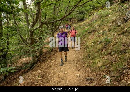 Hikers through the beech forest between the Pregon mountain pass and the Matagalls summit (Montseny, Osona, Catalonia, Spain) Stock Photo
