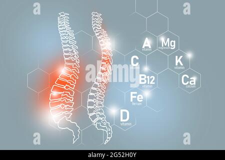 Essential nutrients for Spine health including Magnesium, Vitamin B12, Calcium, Ferrum.Design set of  human organs on light grey background. Stock Photo
