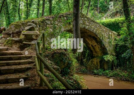 Molí de les Pipes bridge, over the Riera d'Arbúcies stream in Montseny (La Selva, Catalonia, Spain) ESP: Puente del Molí de les Pipes, en Arbúcies Stock Photo