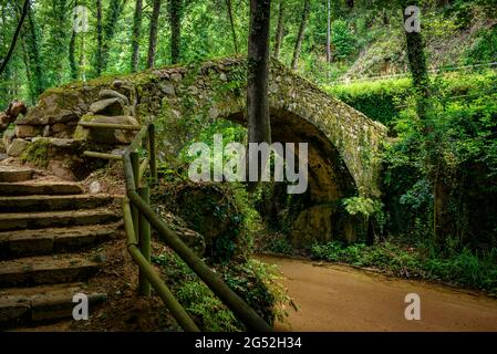 Molí de les Pipes bridge, over the Riera d'Arbúcies stream in Montseny (La Selva, Catalonia, Spain) ESP: Puente del Molí de les Pipes, en Arbúcies Stock Photo