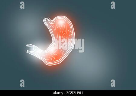 Handrawn illustration of human Stomach on dark grey background. Medical, science set with main human organs with empty copy space for text Stock Photo
