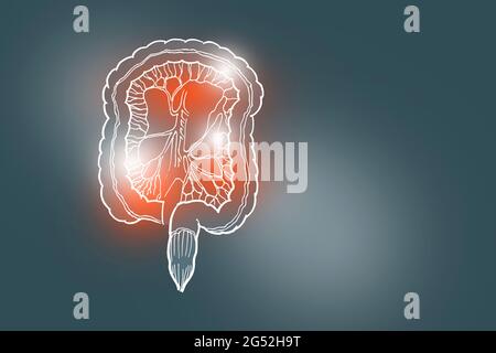 Handrawn illustration of human Intestine on dark grey background. Medical, science set with main human organs with empty copy space for text Stock Photo