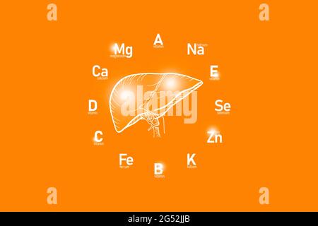 Stylized clockface with essential vitamins and microelements for human health, hand drawn Liver, orange background. Stock Photo