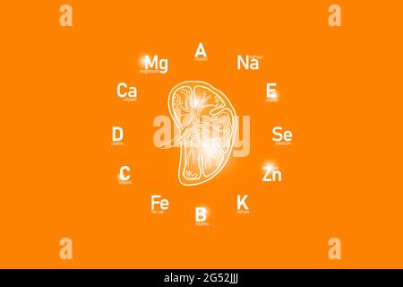 Stylized clockface with essential vitamins and microelements for human health, hand drawn Spleen, orange background. Stock Photo