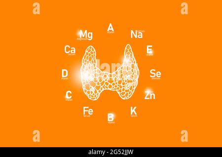 Stylized clockface with essential vitamins and microelements for human health, hand drawn Thyroid Gland, orange background. Stock Photo