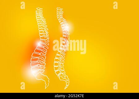 Handrawn illustration of human Spine on dark blue background. Medical ...